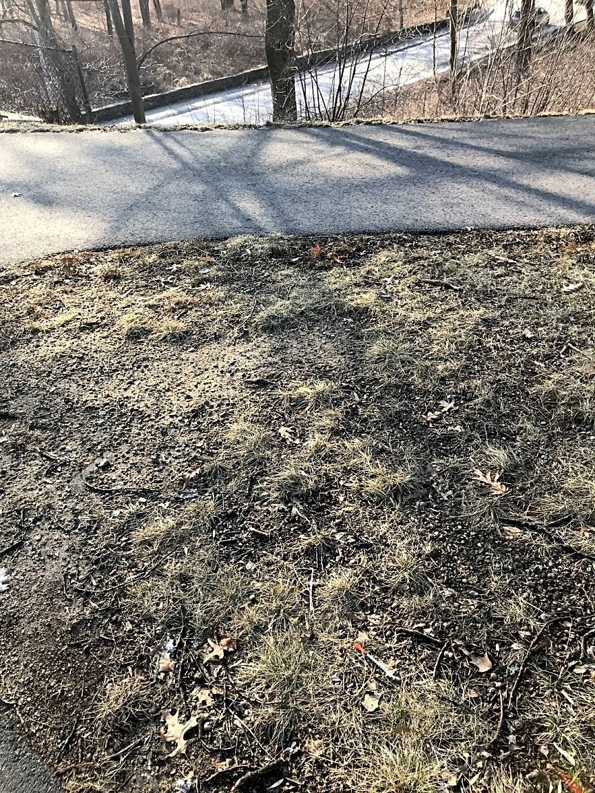 Case 101004219663 photo