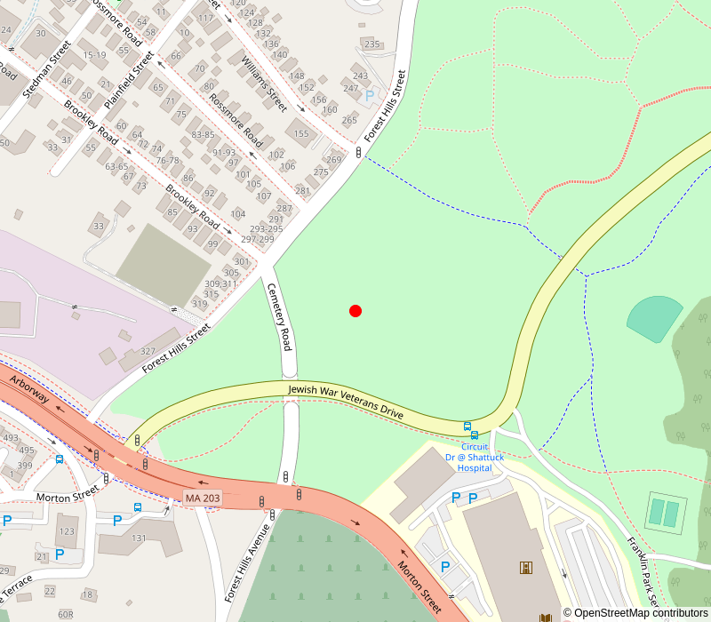 map file for case 101006173394