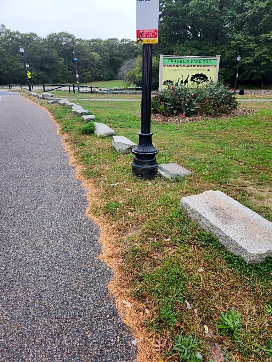 case id 101006321797 picture 1.png