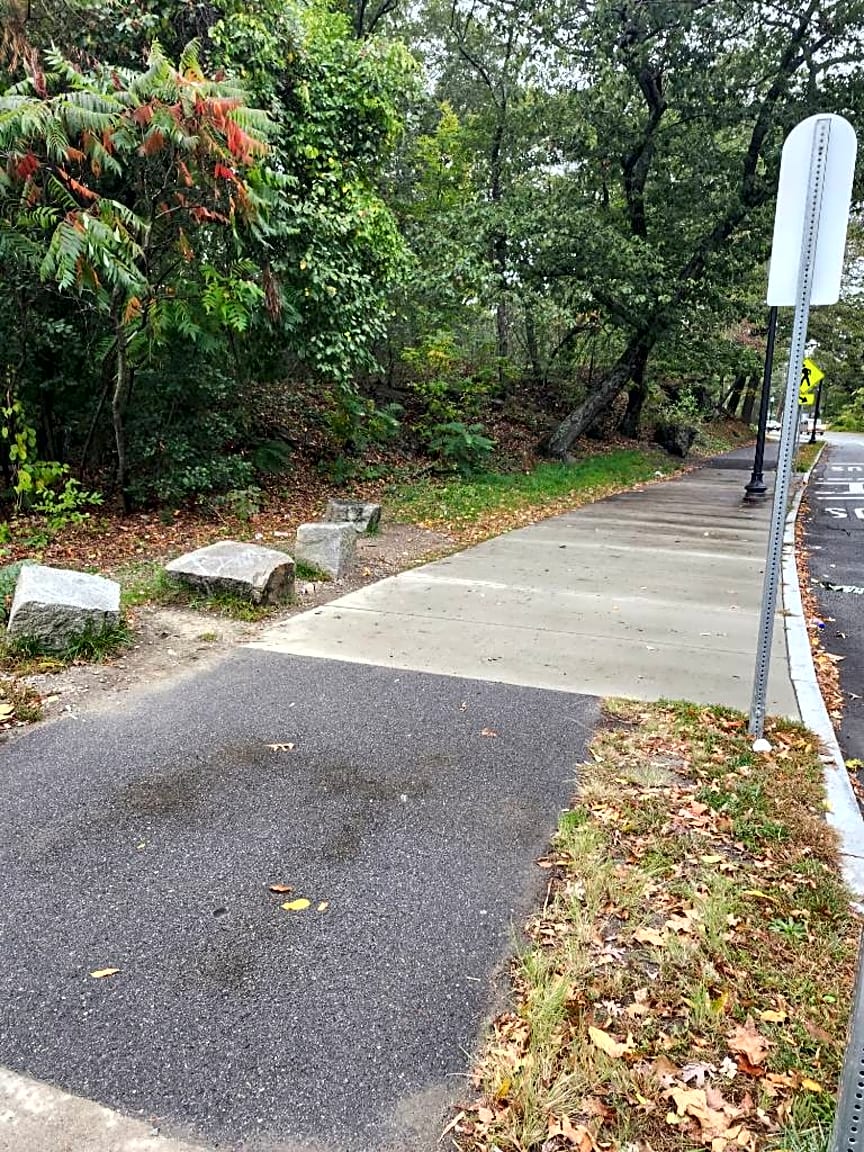 case id 101006321797 picture 6.png