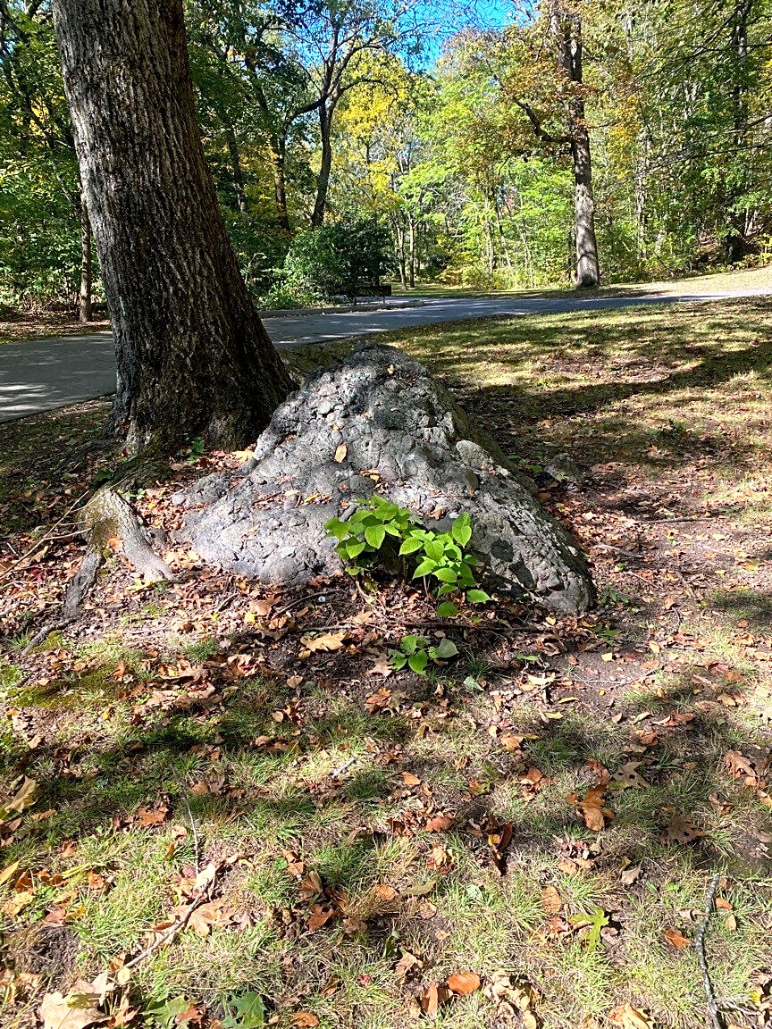 case id 101006327181 picture 1.png