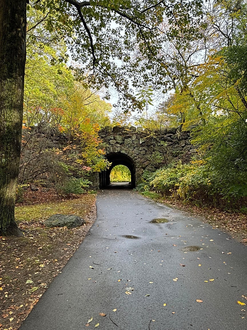 case id 101006330295 picture 2.png