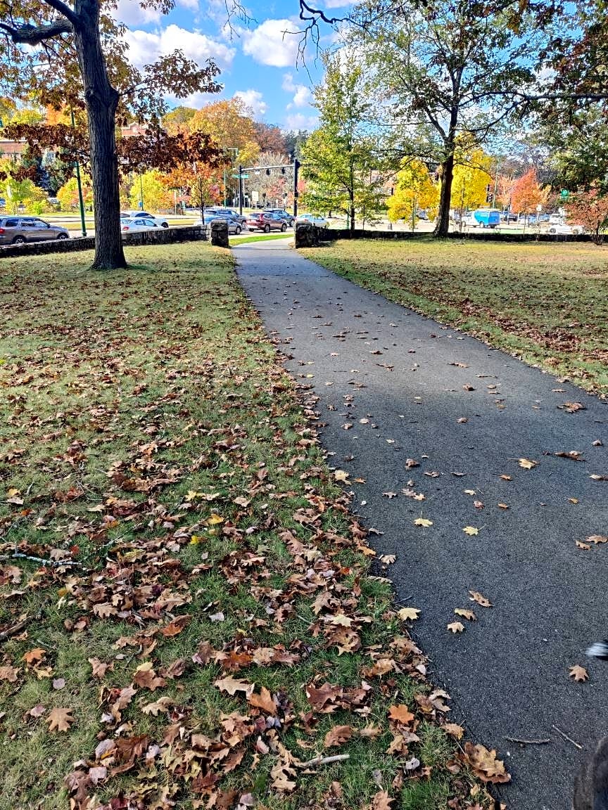 case id 101006335686 picture 1.png