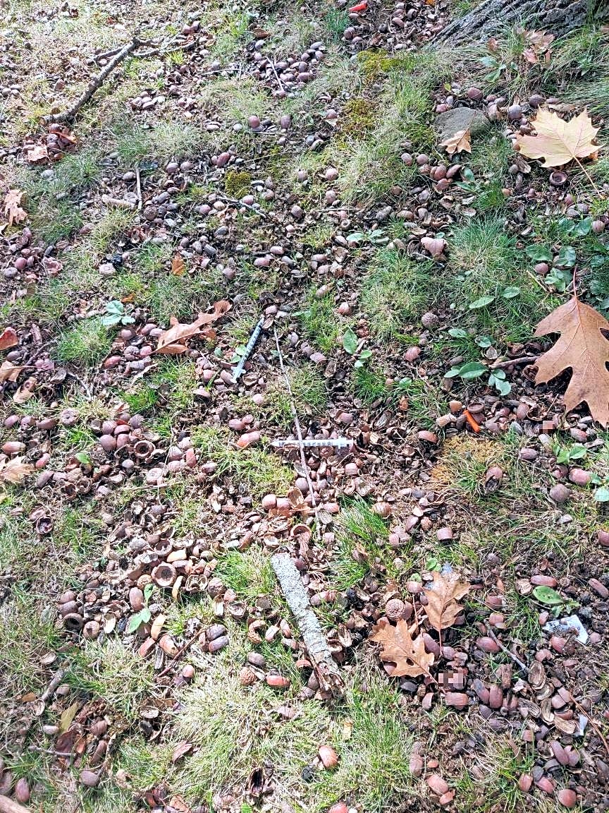 case id 101006335686 picture 2.png