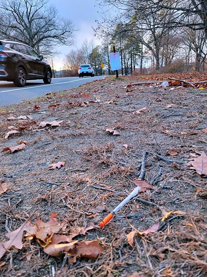 case id 101006378356 picture 1.png