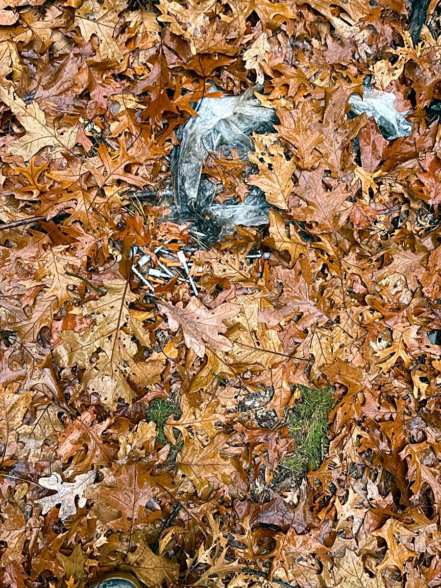 case id 101006381349 picture 1.png