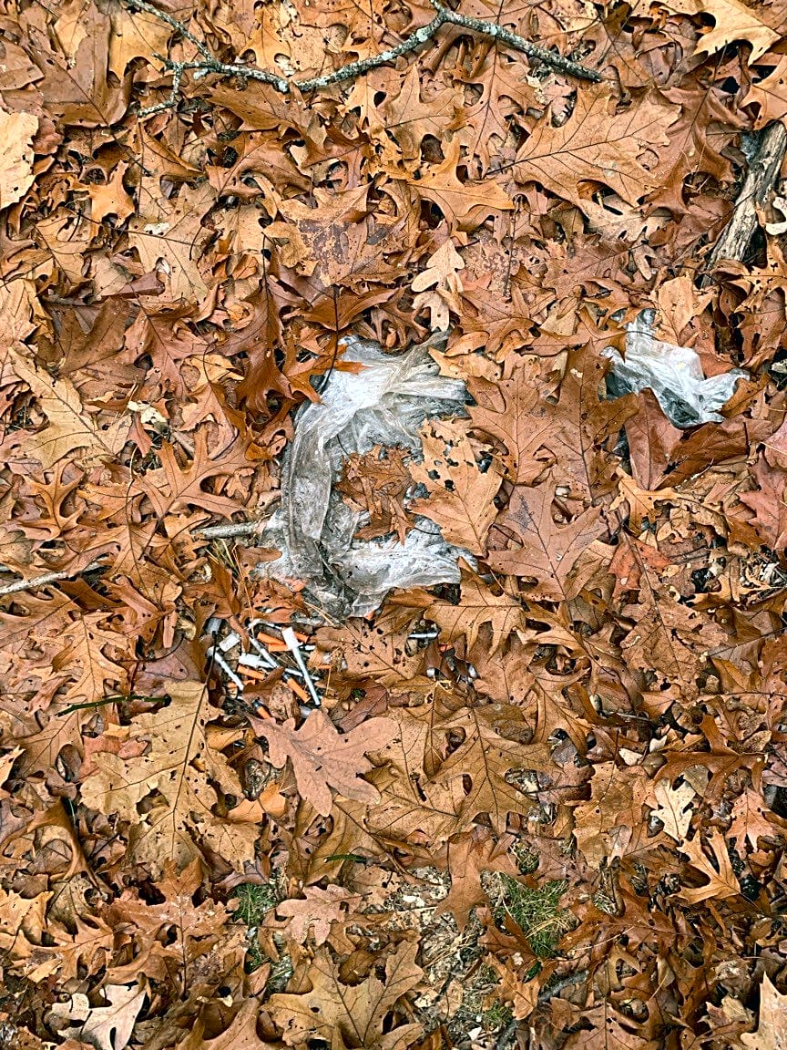 case id 101006385138 picture 2.png