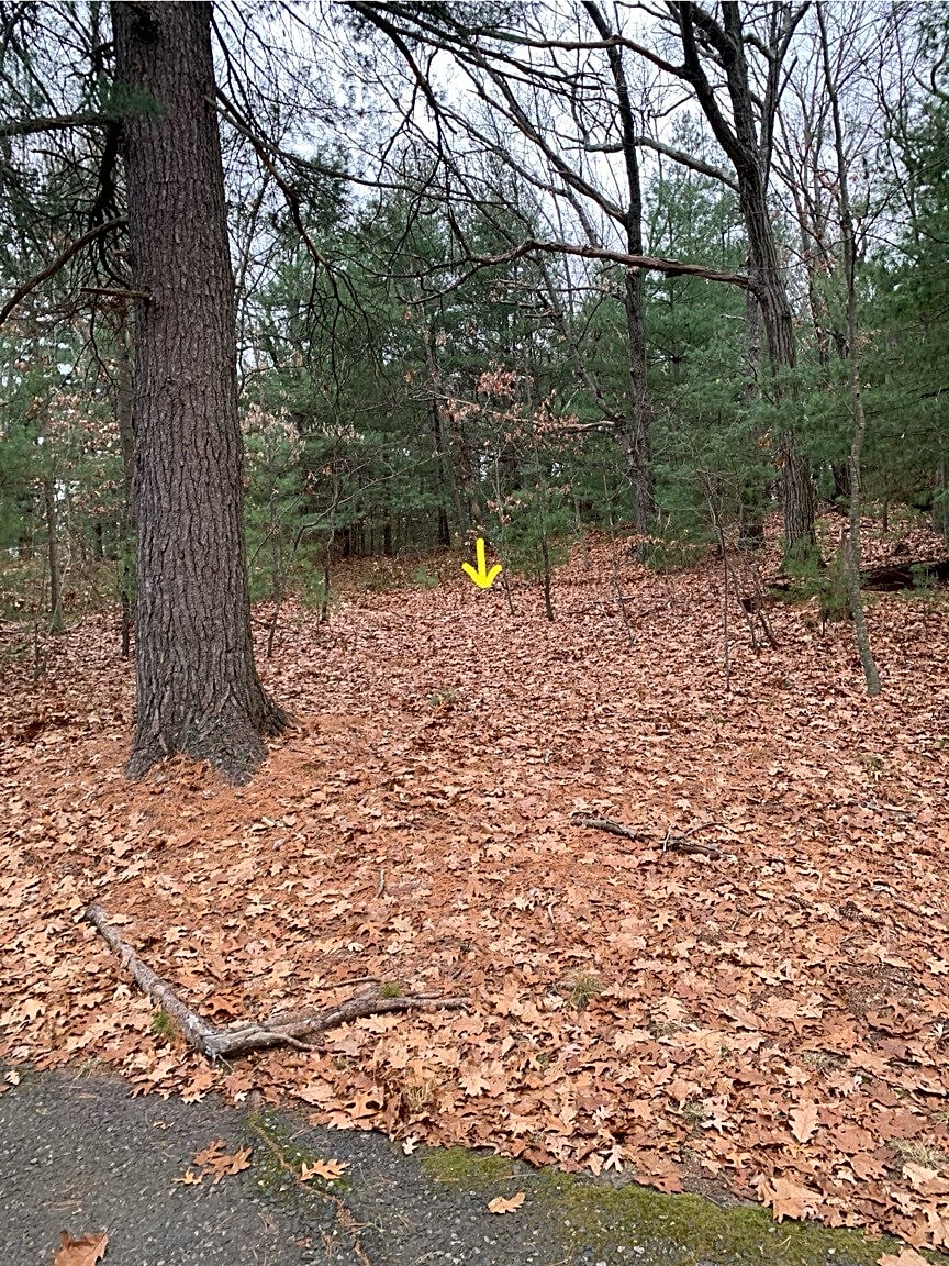 case id 101006385138 picture 3.png