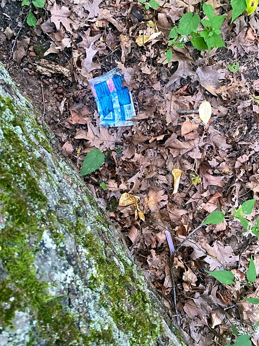 case id 101006309762 picture 3.png